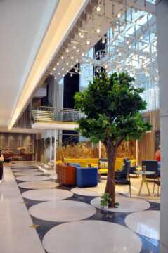 Hyatt Centric brand Chandigarh