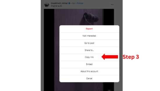How to Download Instagram Stories And Pictures| Short Trick