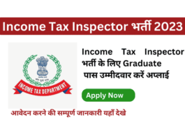 How To Apply Income Tax Inspector Post