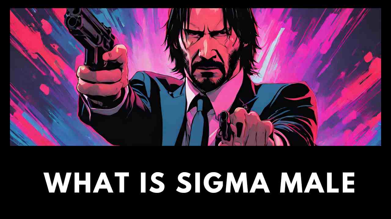 Sigma male kya hai
