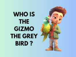 Who is the gizmo the grey parrot