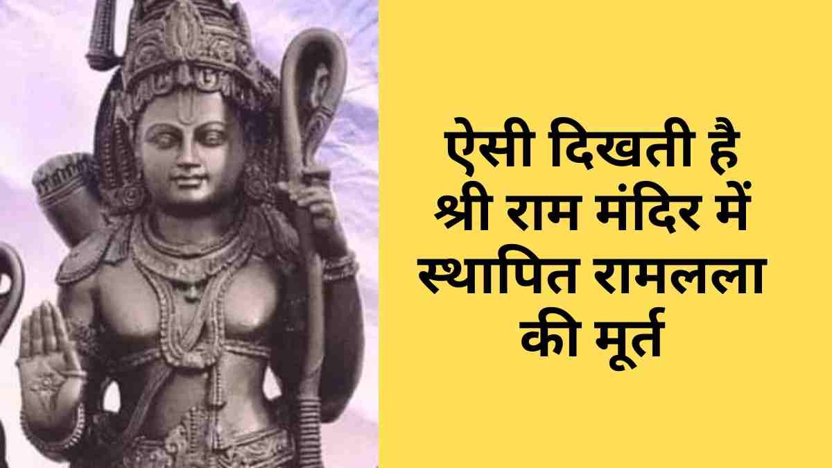 <span class="title-highlight-color">Sarso Mandi Rate :</span> अचानक 1000 रुपये उछली सरसों, जानियें आज का मंडी भाव