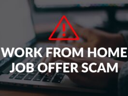 Work From Home Job Scams: Ghar Baithe Kamai Ke Naam Par Online Fraud Se Kaise Bache? Work From Home Job Scams