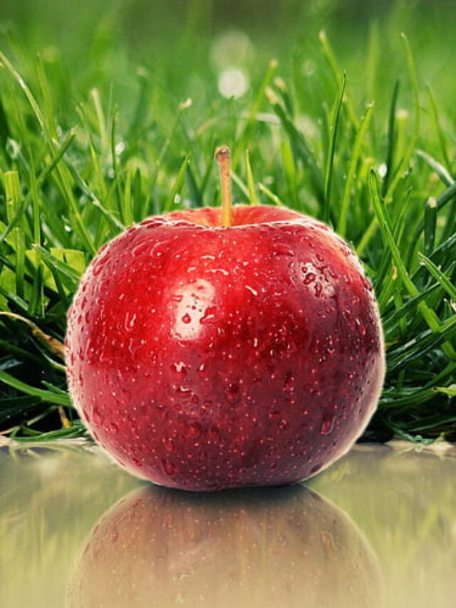 glass apple and grass