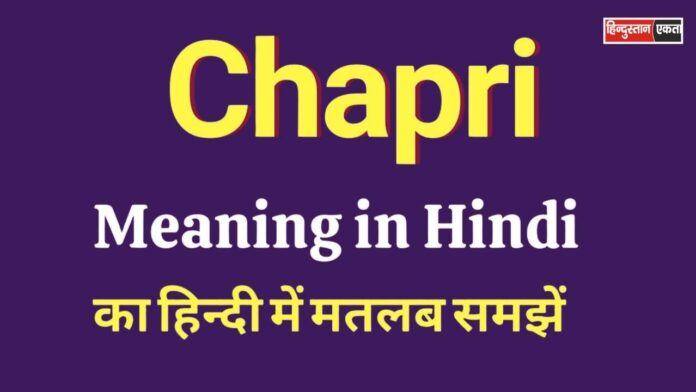 Chapri Meaning in Hindi Chapri Meaning in Hindi – Chapri Kya Hota Hai Aur Kaise Pehchaane