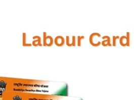 Labour Card ke Fayde और सरकारी योजनाओं से मिलने वाले लाभ की जानकारी।"