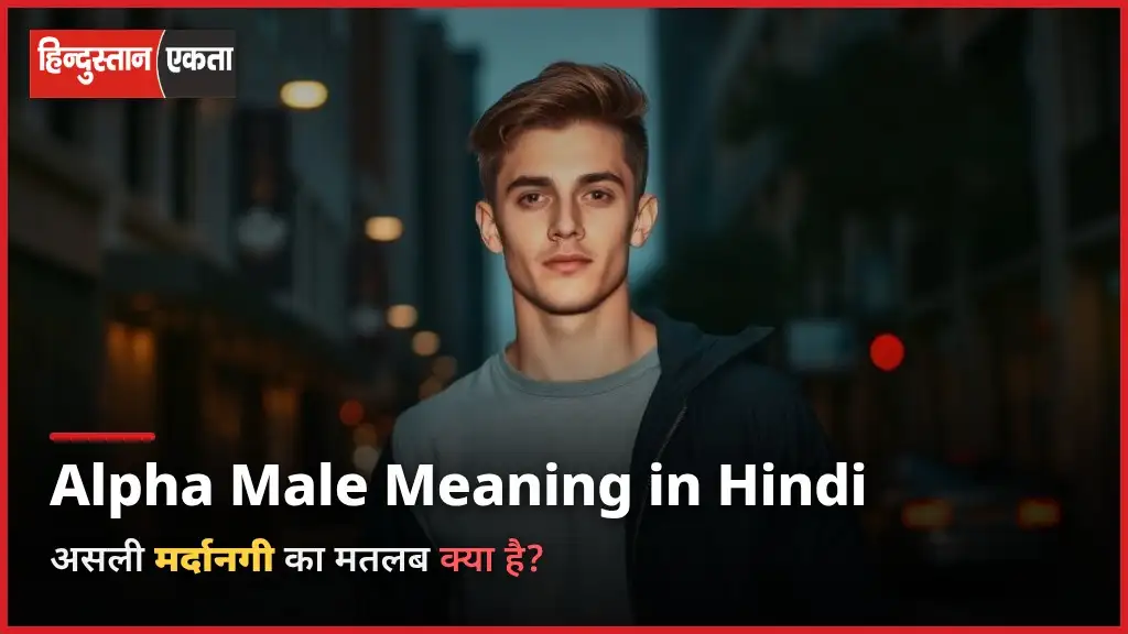 Alpha Male Meaning in Hindi – Asli Mardangi Ka Matlab Kya Hai?