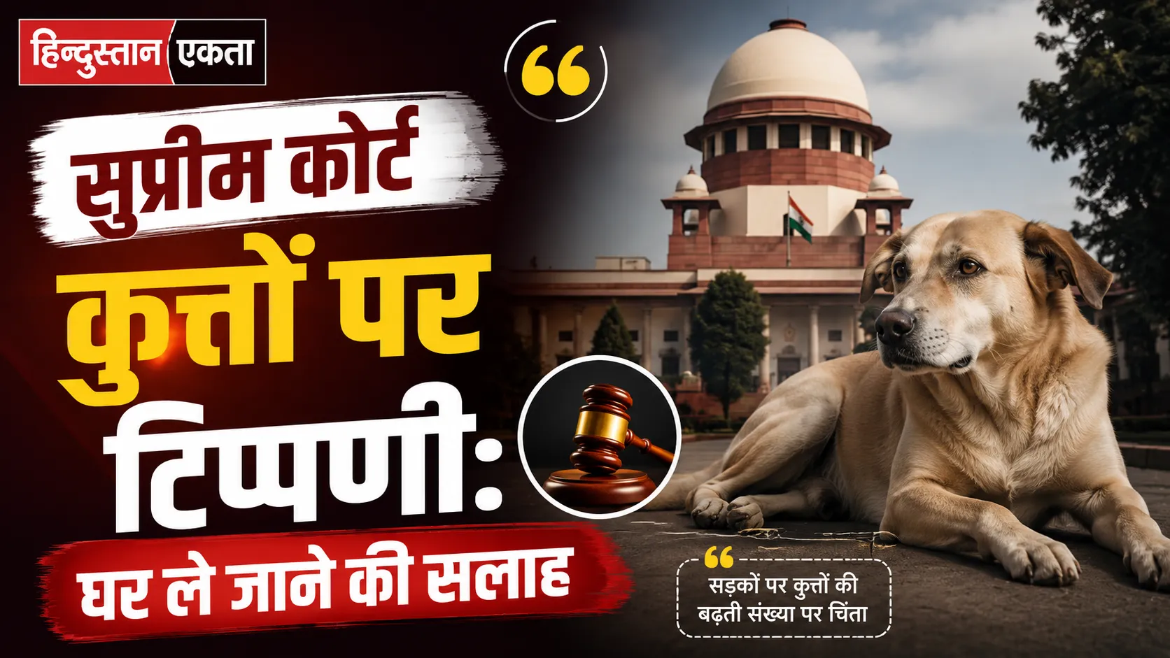 <span class="title-highlight-color">सुप्रीम कोर्ट कुत्तों पर टिप्पणी:</span> घर ले जाने की सलाह
