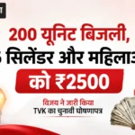 200 यूनिट बिजली, 6 सिलेंडर और महिलाओं को ₹2500, विजय ने जारी किया TVK का चुनावी घोषणापत्र