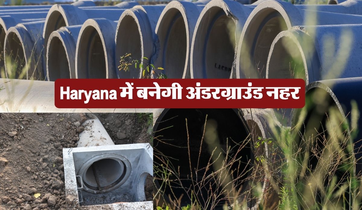 Haryana