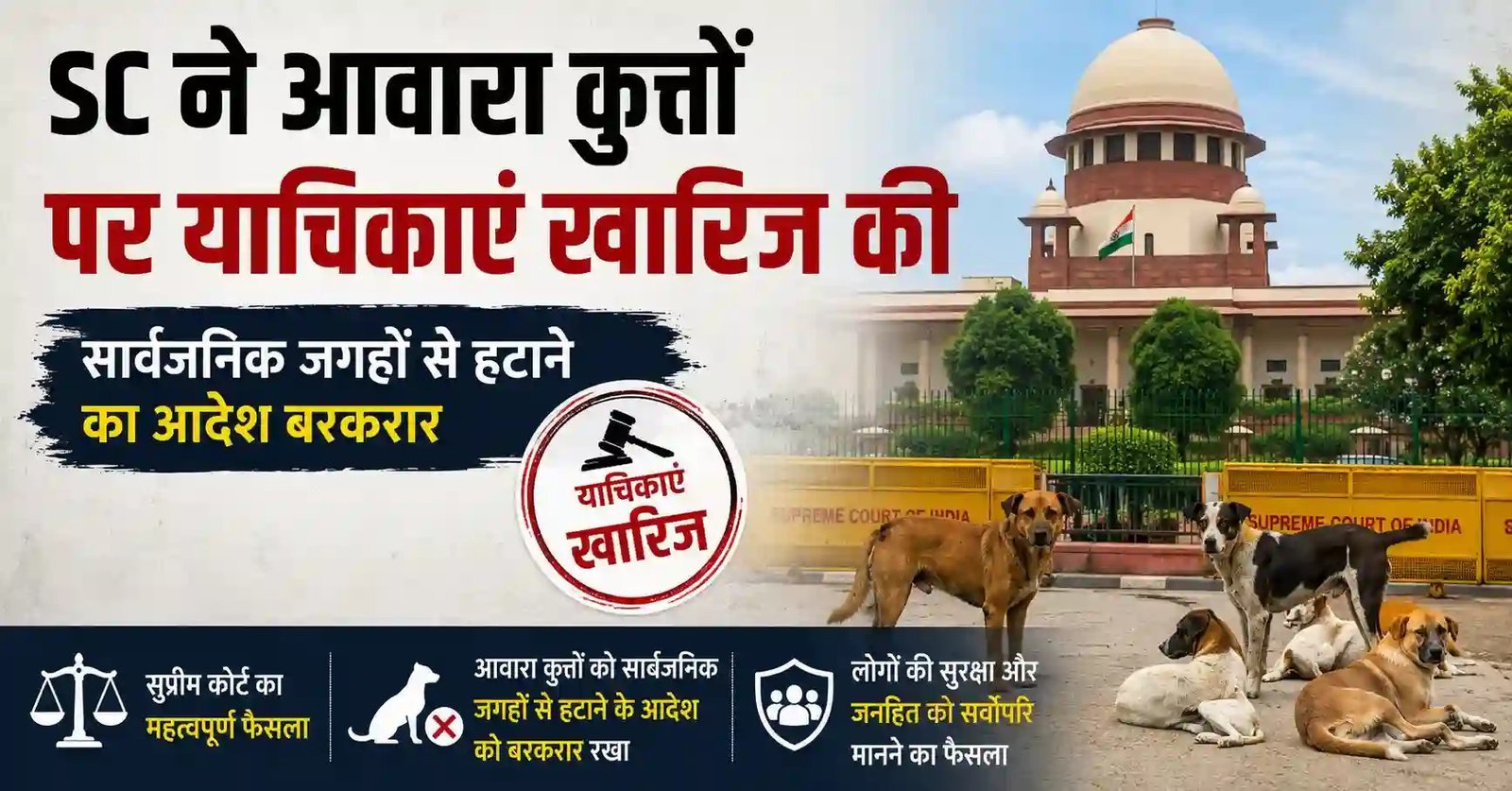 सड़कों पर आवारा कुत्तों को लेकर सुप्रीम कोर्ट सख्त, याचिकाएं खारिज; सार्वजनिक जगहों से हटाने का आदेश बरकरार