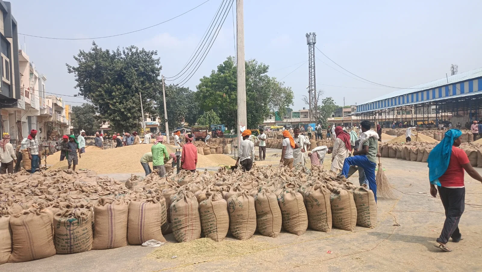 मंडियों में 10 हजार क्विंटल धान खरीद का इंतजार कर रहे किसान
